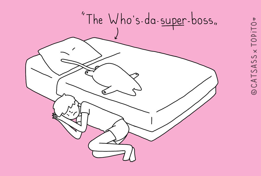 Top 10 Positions To Sleep With Your Human Top 10 Positions To Sleep With Your Human