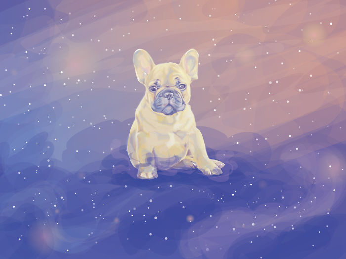 Animals In Space: My Vector Art Leaves People Questioning What The Medium Is Animals In Space: My Vector Art Leaves People Questioning What The Medium Is