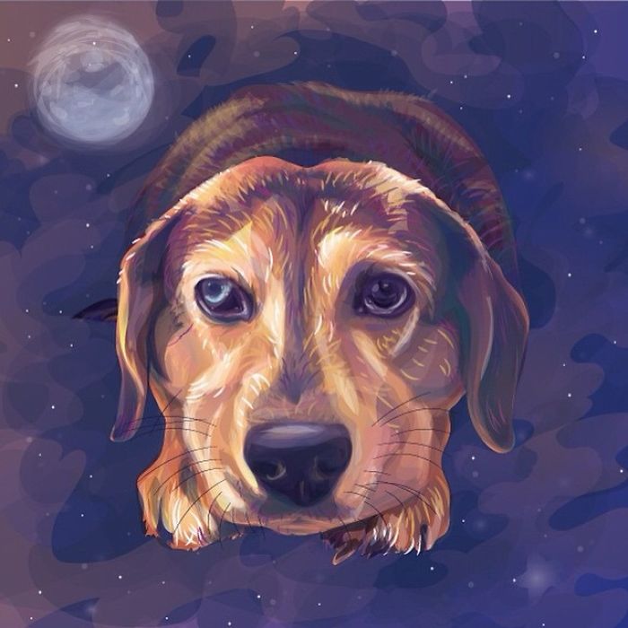 Animals In Space: My Vector Art Leaves People Questioning What The Medium Is Animals In Space: My Vector Art Leaves People Questioning What The Medium Is