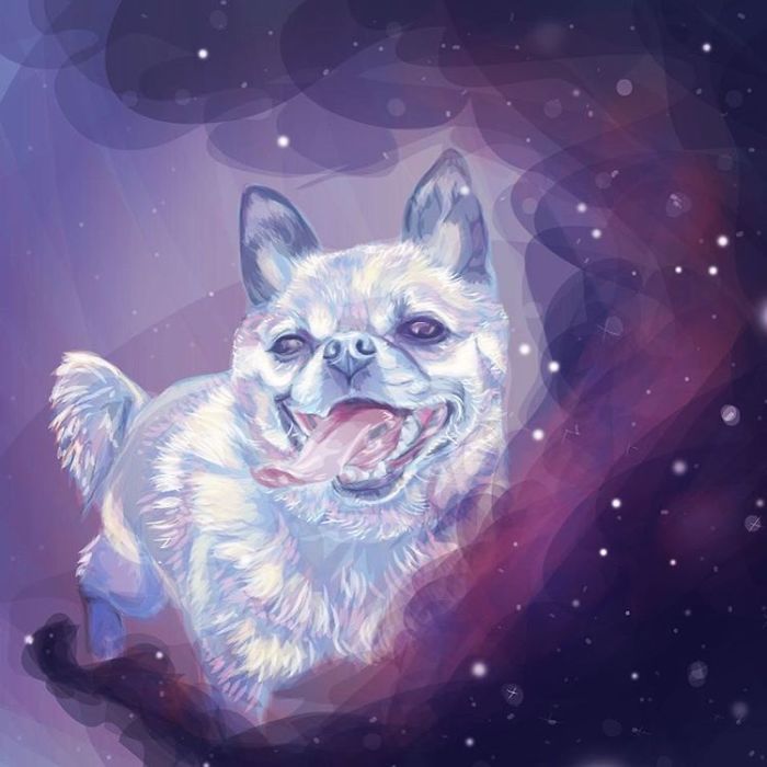 Animals In Space: My Vector Art Leaves People Questioning What The Medium Is Animals In Space: My Vector Art Leaves People Questioning What The Medium Is