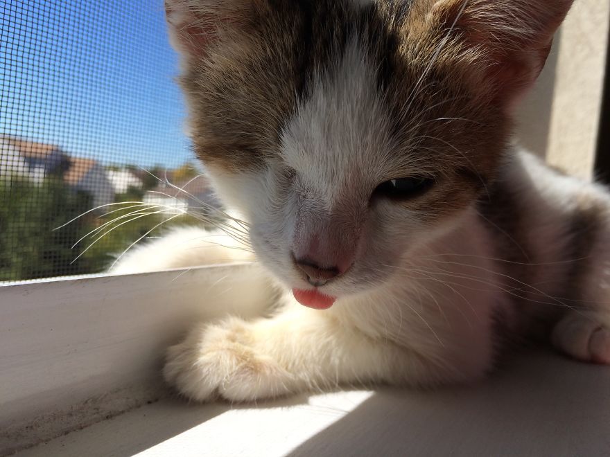 Poppy Doesn&#8217;t Know She&#8217;s Supposed To Have Two Eyes