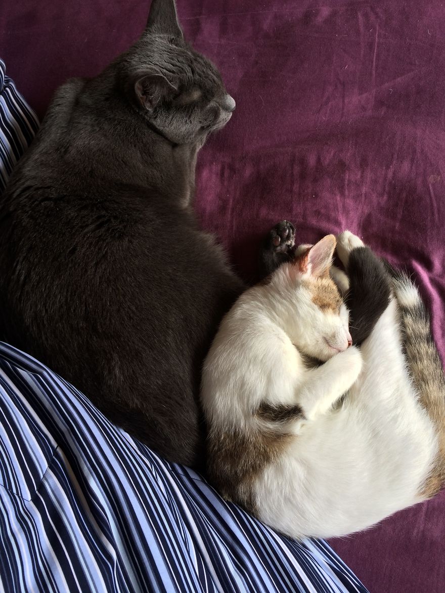 Poppy Doesn&#8217;t Know She&#8217;s Supposed To Have Two Eyes