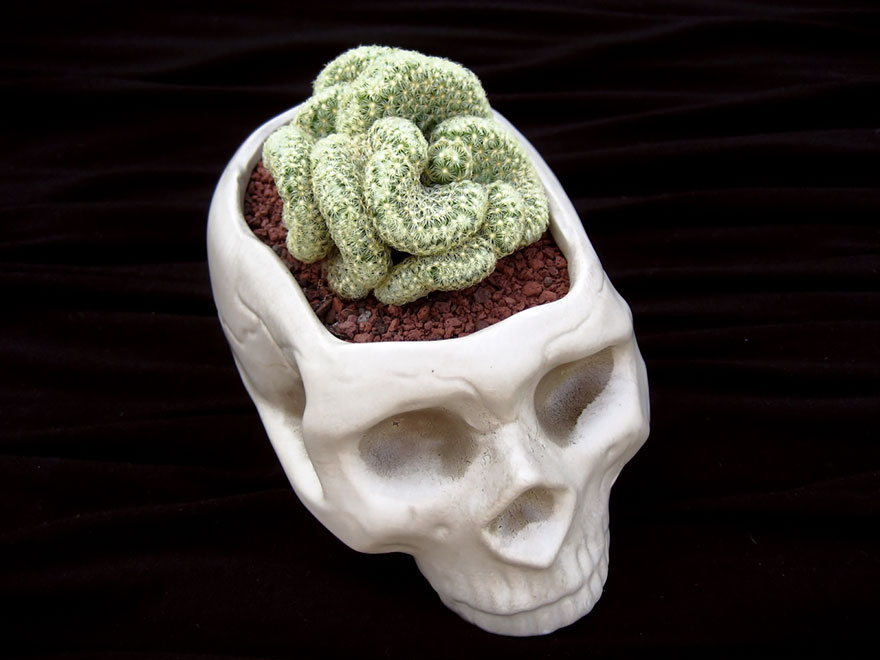 40 Of The Most Creative Planter Designs Ever 40 Of The Most Creative Planter Designs Ever