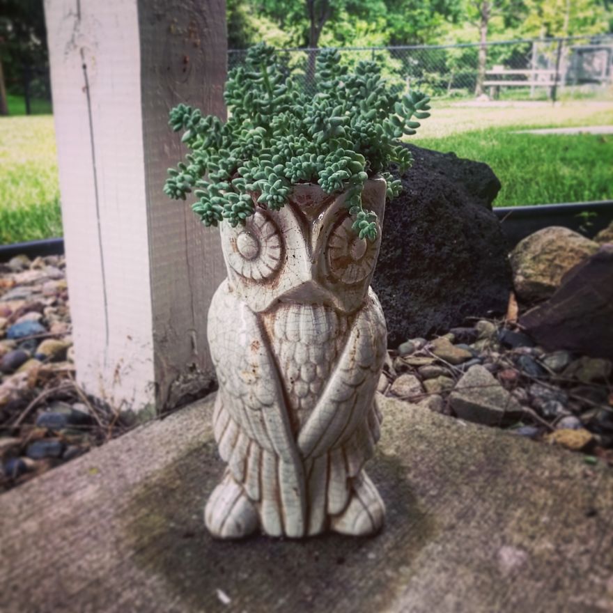 40 Of The Most Creative Planter Designs Ever 40 Of The Most Creative Planter Designs Ever