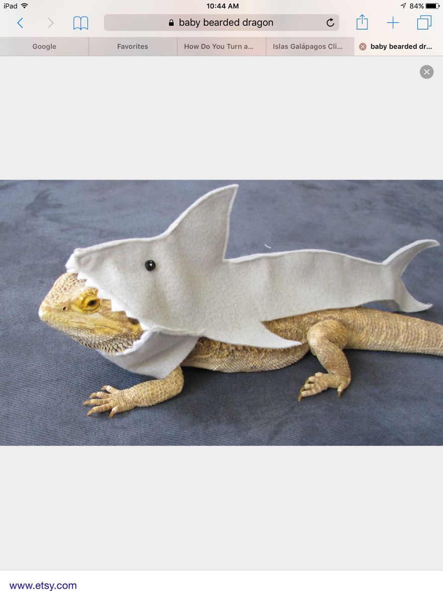 40 Of The Most Creative Planter Designs Ever 40 Of The Most Creative Planter Designs Ever