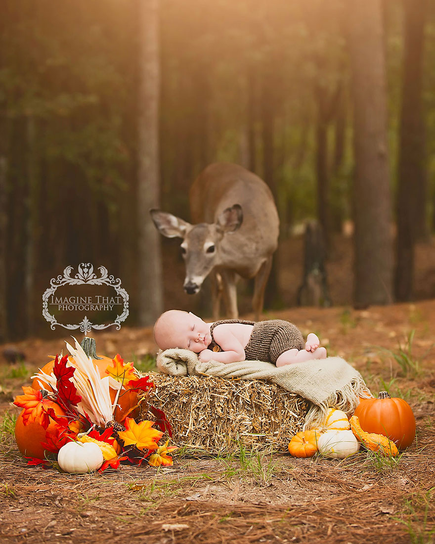 Deer Photobombs Baby’s Photoshoot And Turns It Into A Fairytale Deer Photobombs Baby’s Photoshoot And Turns It Into A Fairytale