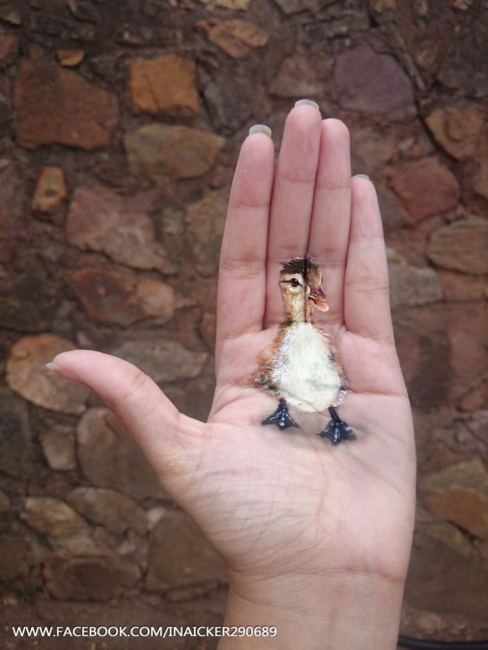 I Create 3D Paintings On My Palms I Create 3D Paintings On My Palms