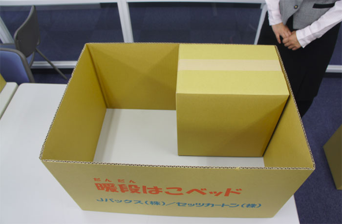Boxes Into Beds: Brilliant Idea Helps Earthquake Victims In Japan