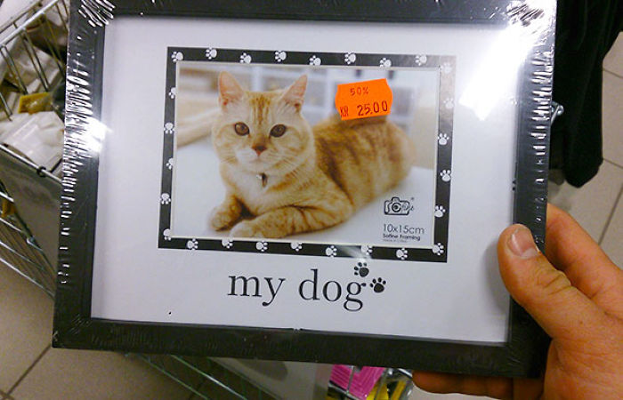 Ads Vs Reality: 101 Hilarious Examples Of False Advertising