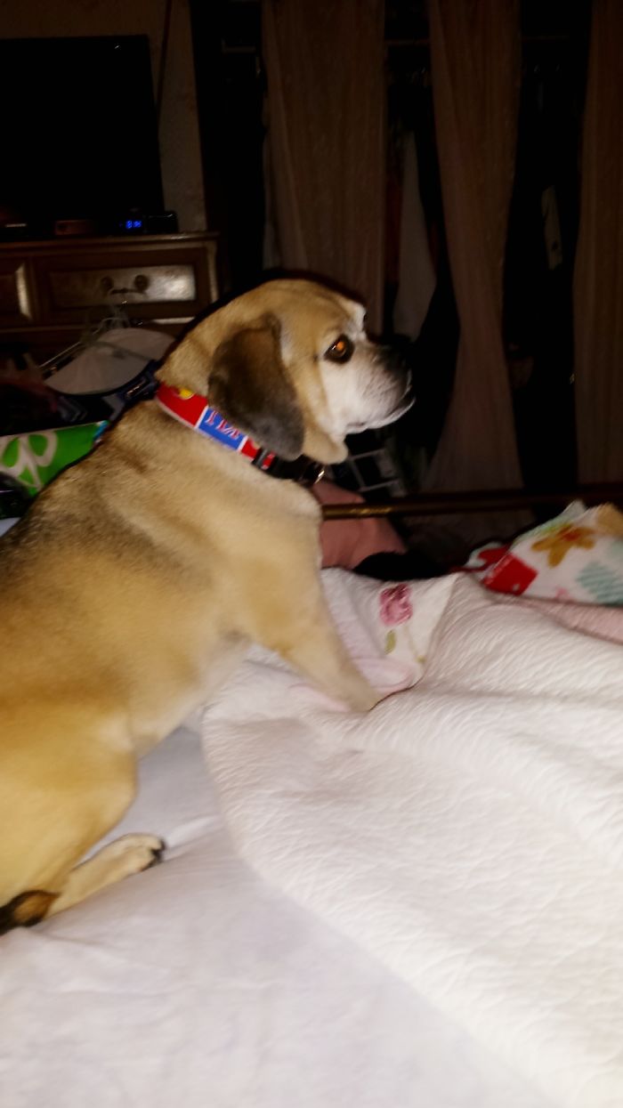 Ads Vs Reality: 101 Hilarious Examples Of False Advertising