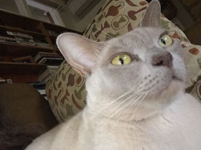 Ads Vs Reality: 101 Hilarious Examples Of False Advertising