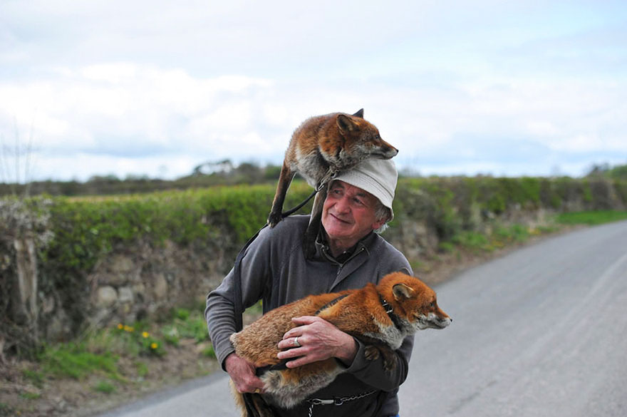 This Man Rescued These Foxes And Now They Won&#8217;t Leave His Side