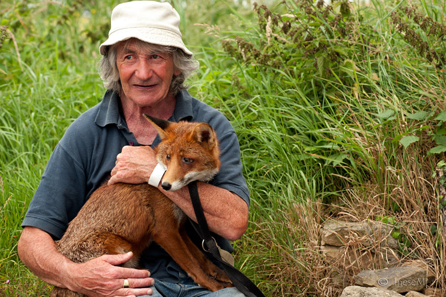 This Man Rescued These Foxes And Now They Won&#8217;t Leave His Side