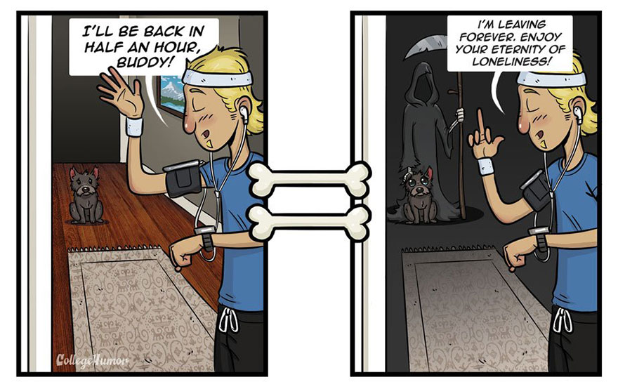 How Dogs See The World In 7 Funny Illustrations How Dogs See The World In 7 Funny Illustrations