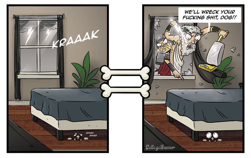 How Dogs See The World In 7 Funny Illustrations How Dogs See The World In 7 Funny Illustrations