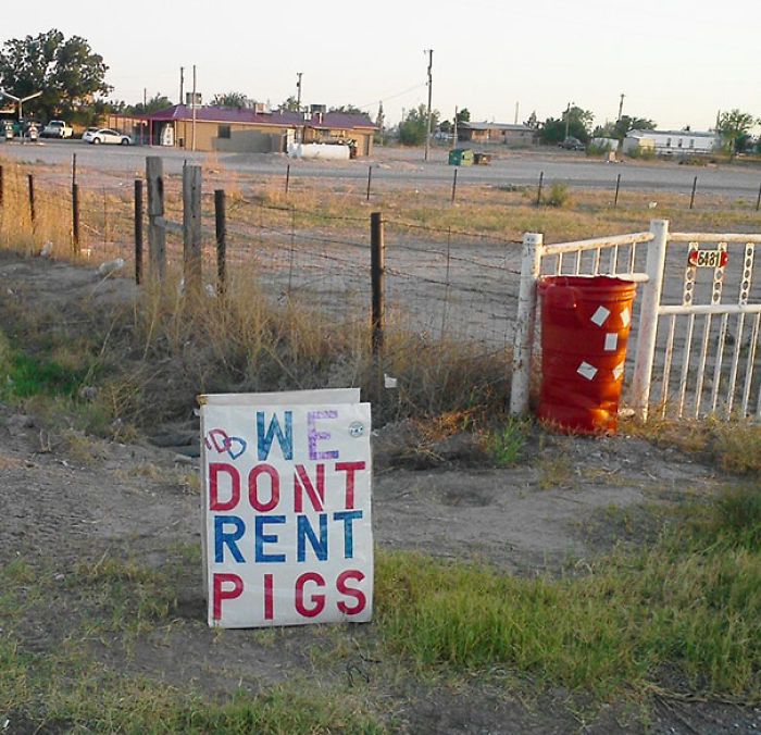 75 Signs That Humanity Is Devolving