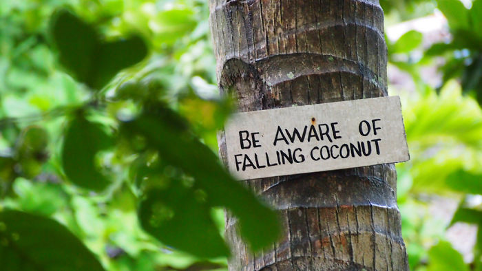 75 Signs That Humanity Is Devolving