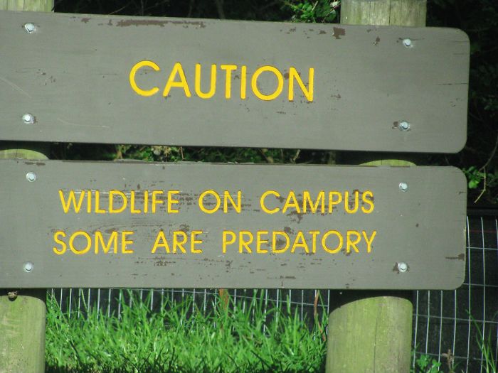 75 Signs That Humanity Is Devolving