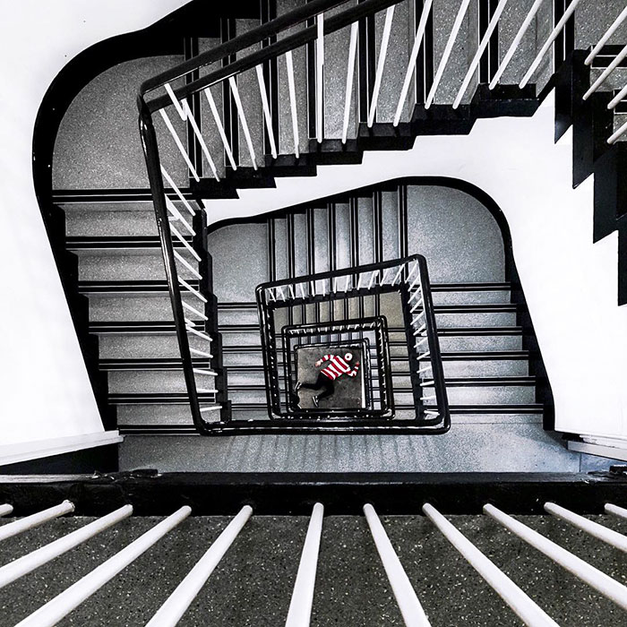 ‘Where’s Waldo?’ Travels Real World In Search Of Cancer Treatment ‘Where’s Waldo?’ Travels Real World In Search Of Cancer Treatment