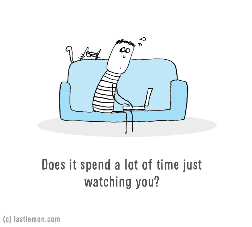 Is Your Cat An Alien?