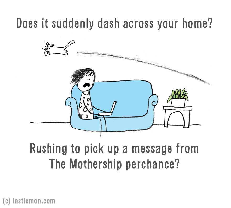 Is Your Cat An Alien?