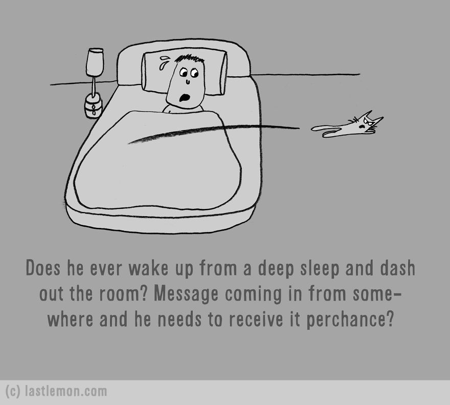 Is Your Cat An Alien?