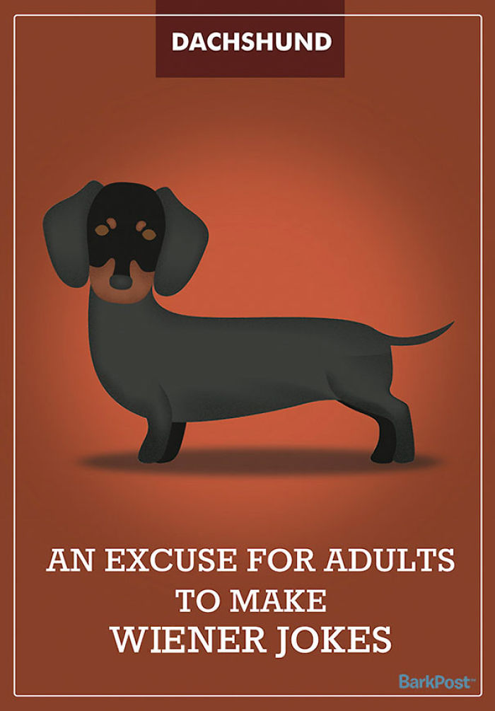 12 Honest Dog Breed Slogans That Make Fun Of Stereotypes 12 Honest Dog Breed Slogans That Make Fun Of Stereotypes