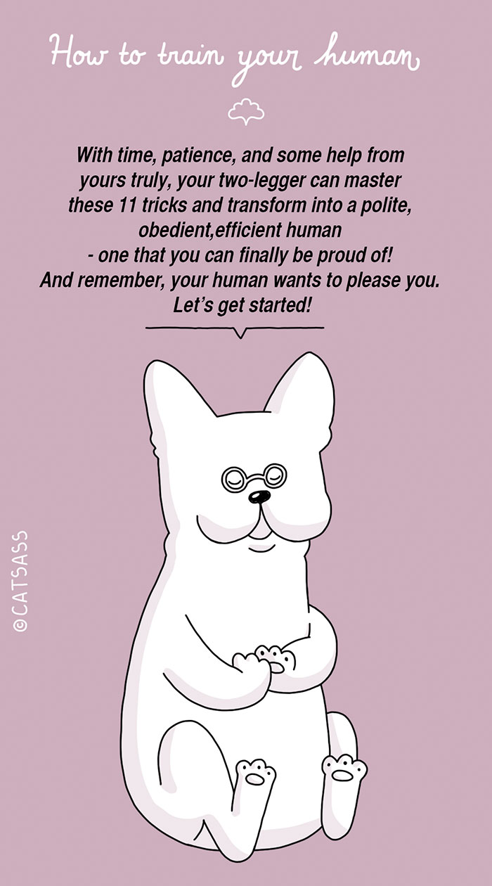 How To Train Your Human In Five Easy Steps How To Train Your Human In Five Easy Steps