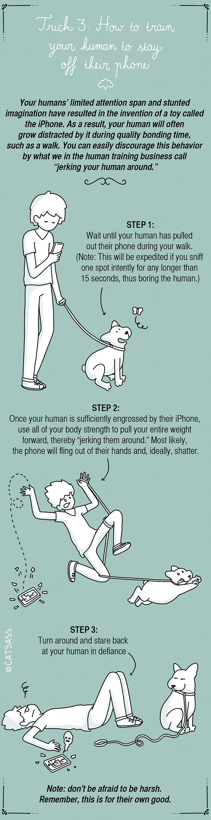 How To Train Your Human In Five Easy Steps How To Train Your Human In Five Easy Steps