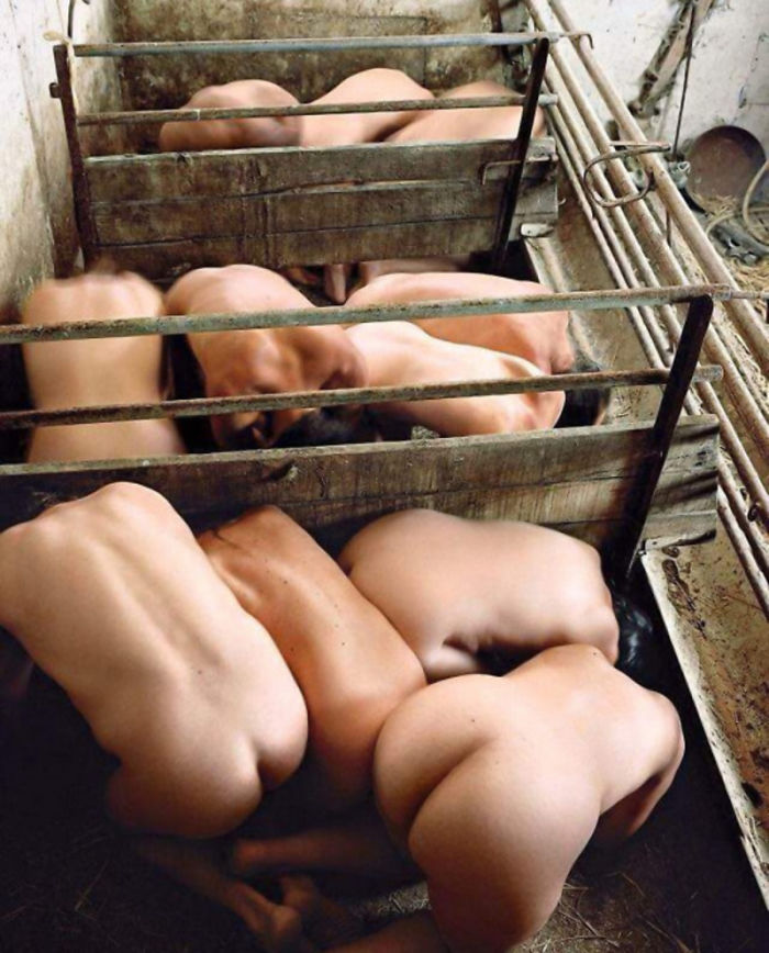 53 Shocking Illustrations Reveal How Animals Feel By Switching Them With Humans 53 Shocking Illustrations Reveal How Animals Feel By Switching Them With Humans