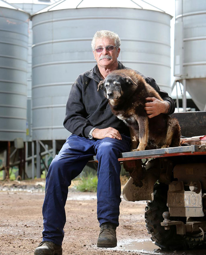 World&#8217;s Oldest Dog Maggie Dies Aged 30