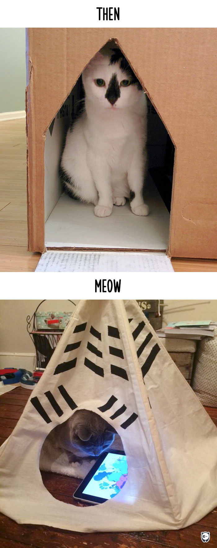 Then vs Meow: How Technology Has Changed Cats’ Lives (15 Pics) Then vs Meow: How Technology Has Changed Cats’ Lives (15 Pics)