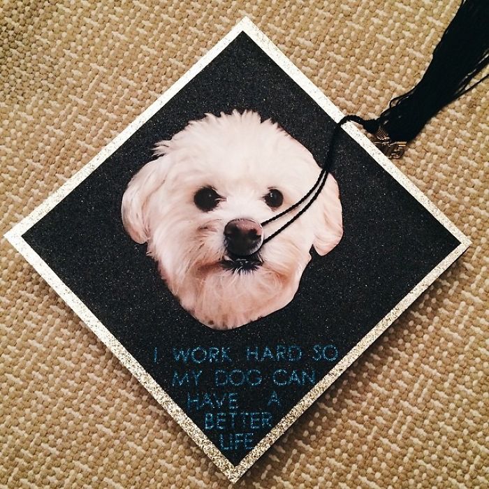 72 Funny Graduation Cap Owners Who Will Go Far In Life 72 Funny Graduation Cap Owners Who Will Go Far In Life