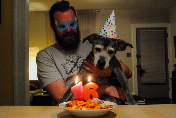 112 Pets Having Better Birthday Parties Than You 112 Pets Having Better Birthday Parties Than You