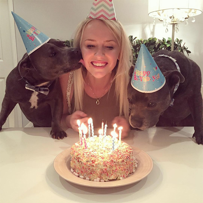 112 Pets Having Better Birthday Parties Than You 112 Pets Having Better Birthday Parties Than You