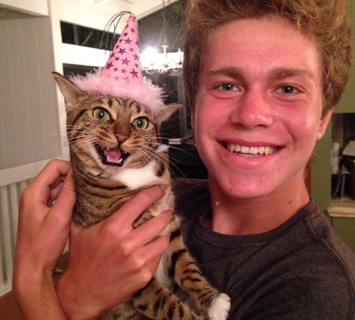 112 Pets Having Better Birthday Parties Than You 112 Pets Having Better Birthday Parties Than You