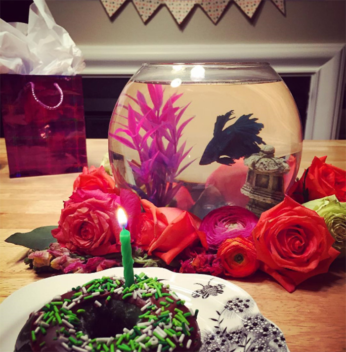 112 Pets Having Better Birthday Parties Than You 112 Pets Having Better Birthday Parties Than You