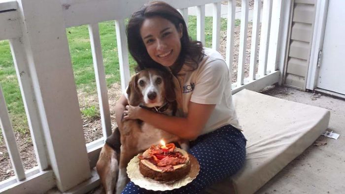 112 Pets Having Better Birthday Parties Than You 112 Pets Having Better Birthday Parties Than You