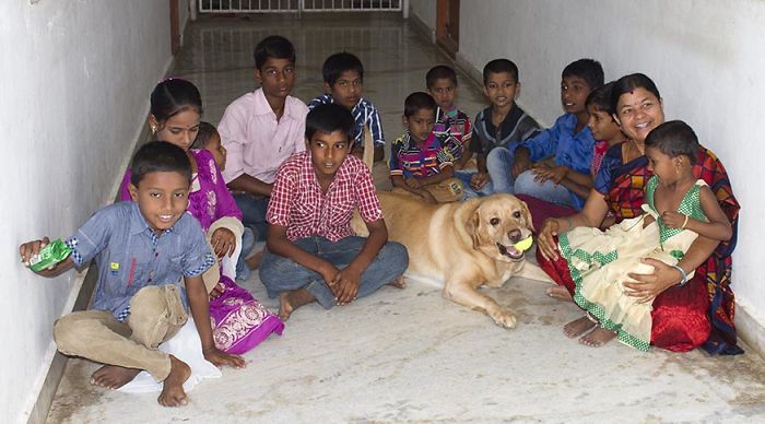 112 Pets Having Better Birthday Parties Than You 112 Pets Having Better Birthday Parties Than You