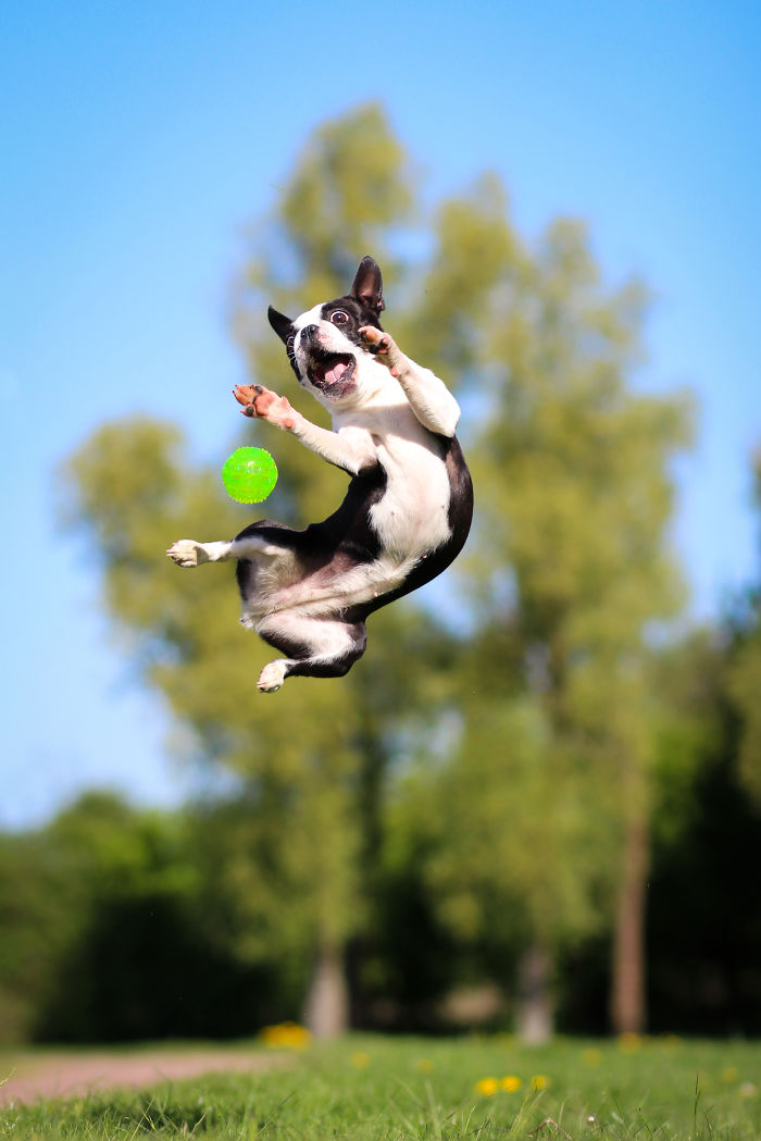 201 Smiling Animals That Will Instantly Make You Smile 201 Smiling Animals That Will Instantly Make You Smile