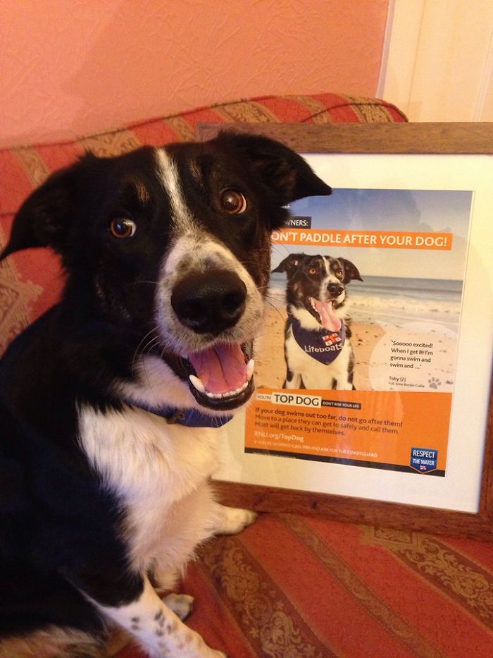 201 Smiling Animals That Will Instantly Make You Smile 201 Smiling Animals That Will Instantly Make You Smile