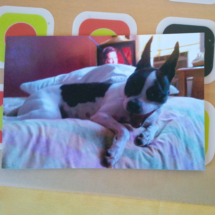 201 Smiling Animals That Will Instantly Make You Smile 201 Smiling Animals That Will Instantly Make You Smile