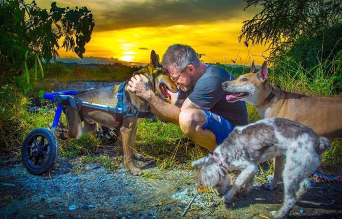 This Man Feeds 80 Stray Dogs Every Day Because He Can’t Bear to See Them Starve This Man Feeds 80 Stray Dogs Every Day Because He Can’t Bear to See Them Starve