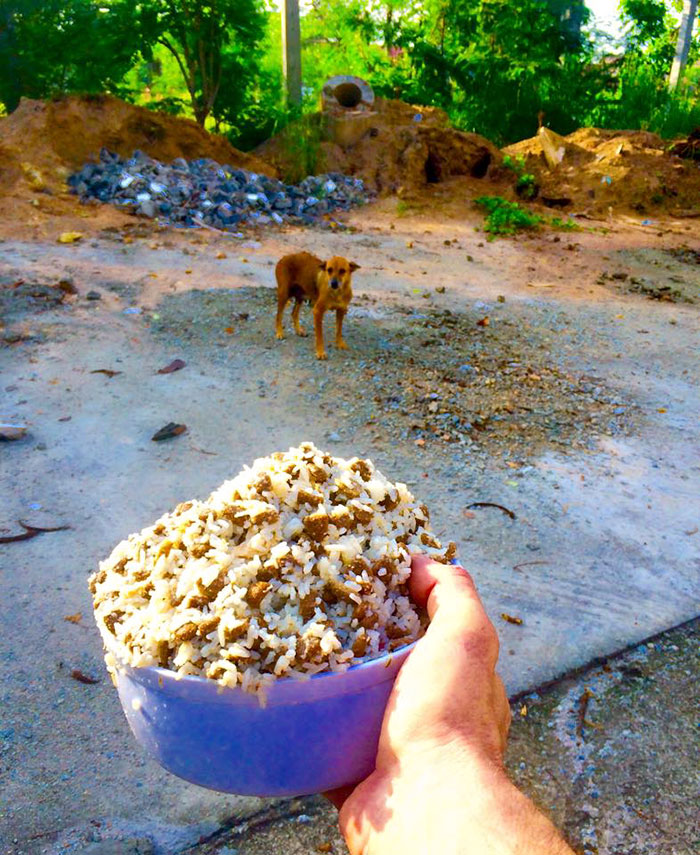 This Man Feeds 80 Stray Dogs Every Day Because He Can’t Bear to See Them Starve This Man Feeds 80 Stray Dogs Every Day Because He Can’t Bear to See Them Starve