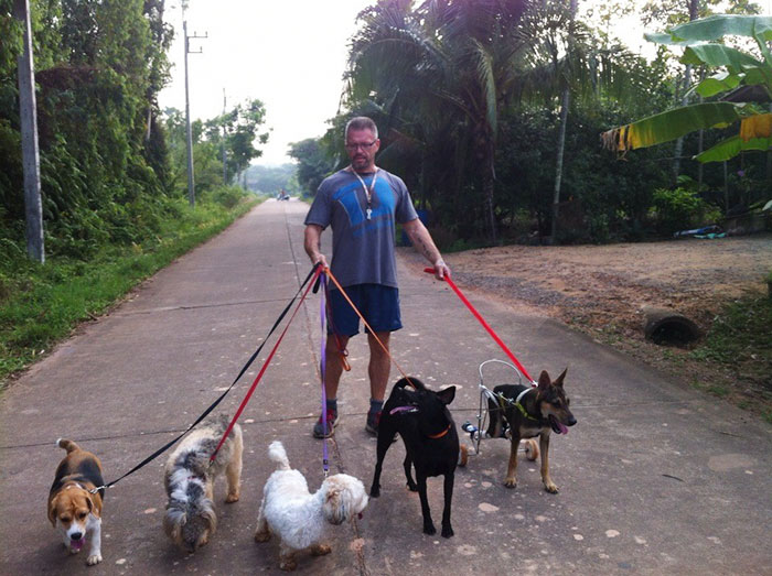 This Man Feeds 80 Stray Dogs Every Day Because He Can’t Bear to See Them Starve This Man Feeds 80 Stray Dogs Every Day Because He Can’t Bear to See Them Starve