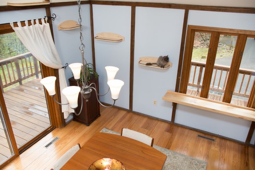 I ‘Catified’ My Friends’ House For Their 7 Cats I ‘Catified’ My Friends’ House For Their 7 Cats