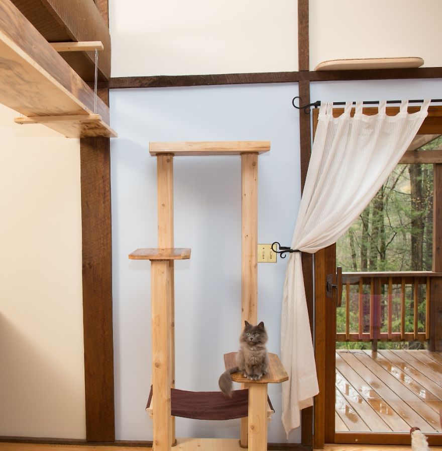 I ‘Catified’ My Friends’ House For Their 7 Cats I ‘Catified’ My Friends’ House For Their 7 Cats