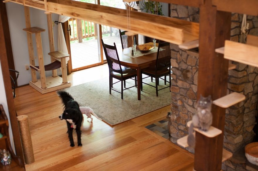 I ‘Catified’ My Friends’ House For Their 7 Cats I ‘Catified’ My Friends’ House For Their 7 Cats