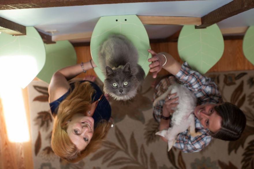 I ‘Catified’ My Friends’ House For Their 7 Cats I ‘Catified’ My Friends’ House For Their 7 Cats