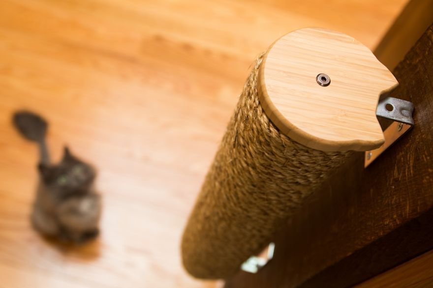 I ‘Catified’ My Friends’ House For Their 7 Cats I ‘Catified’ My Friends’ House For Their 7 Cats